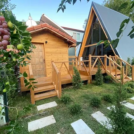 Eden Garden Sardunya Dom wakacyjny Kumluca