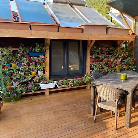 Holiday home Eden Garden Sardunya